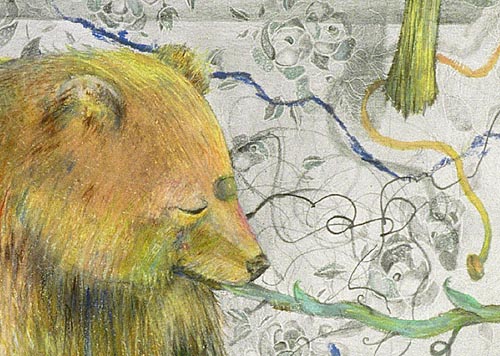 Heather Accurso - Bear