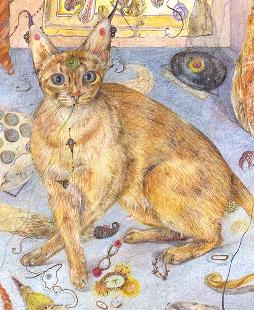 Abyssinian